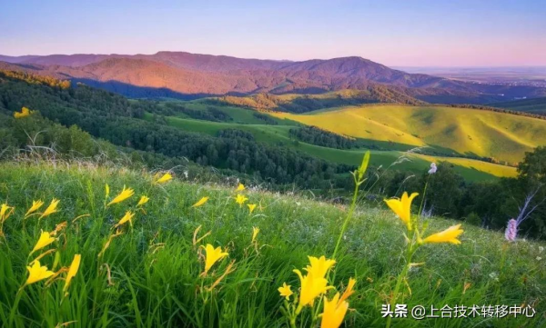 被上帝遺落在西西伯利亞的仙境 千湖之區——阿爾泰邊疆區 被上帝遺落在西西伯利亞的仙境 千湖之區——阿爾泰邊疆區