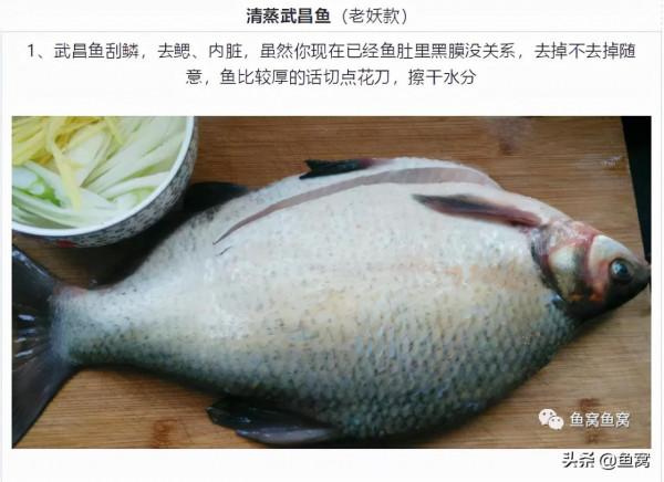 武昌魚和鯿魚,釣魚人還能傻傻分不清? 武昌魚和鯿魚,釣魚人還能傻傻分不清?