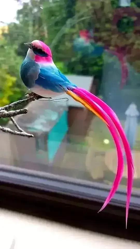 百鳥歡歌齊飛翔