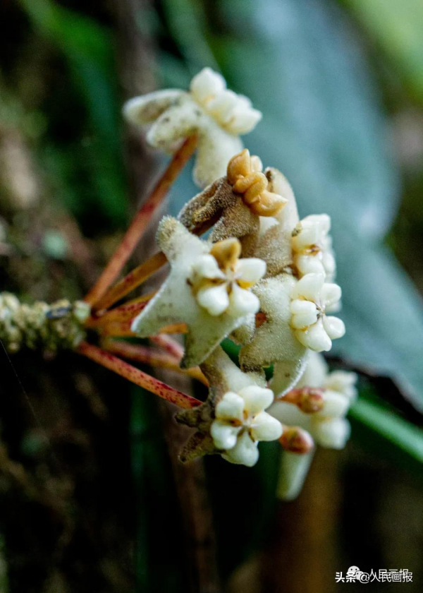 這是你不知道的高黎貢山 這是你不知道的高黎貢山