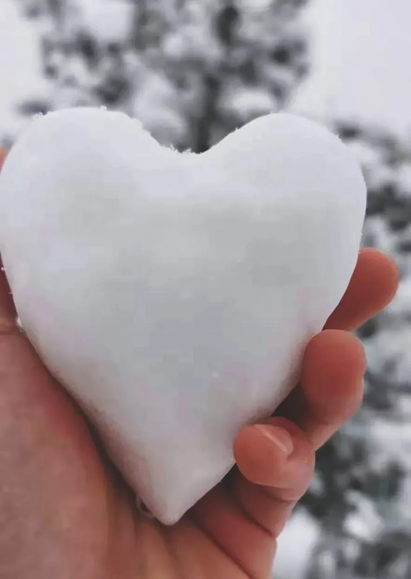 部隊打雪仗，太猛了