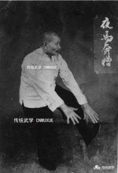 彈抖勁及其練習