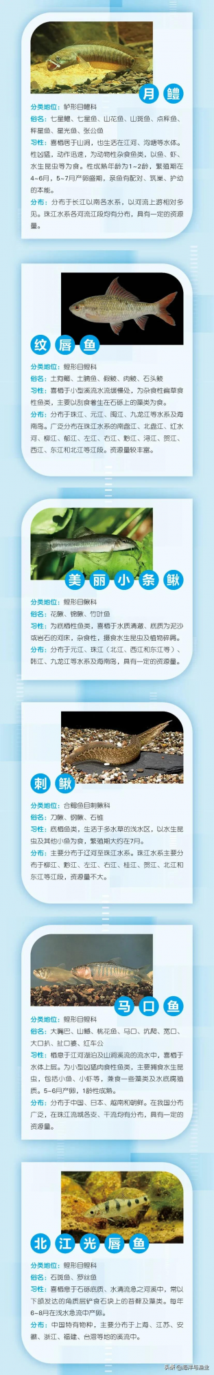 精彩搶先看！這些珍稀魚類將亮相第二屆中國水產種業博覽會（上）