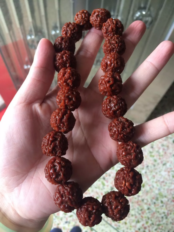 金剛菩提到底什麼時候配飾合適? 金剛菩提到底什麼時候配飾合適?