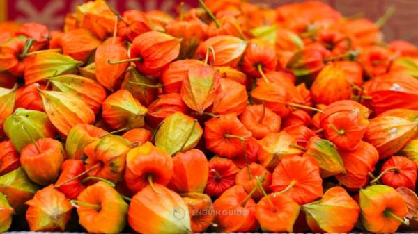 全國秋天神仙菜市場大賞 全國秋天神仙菜市場大賞