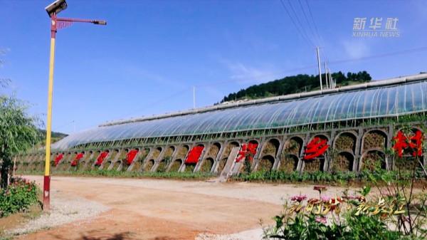 新時代·新長征丨陝西延安:綠色發展譜寫“新篇章” 新時代·新長征丨陝西延安:綠色發展譜寫“新篇章”