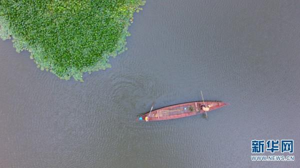 雲南已劃建自然保護地362處 約佔全省國土面積的14.32%