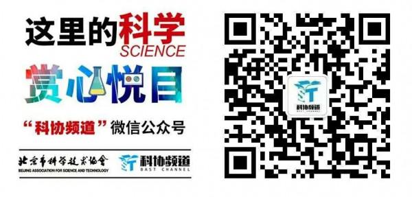 “胎教”不僅存在於人類,雛鳥在蛋裡就能識別媽媽的聲音 “胎教”不僅存在於人類,雛鳥在蛋裡就能識別媽媽的聲音
