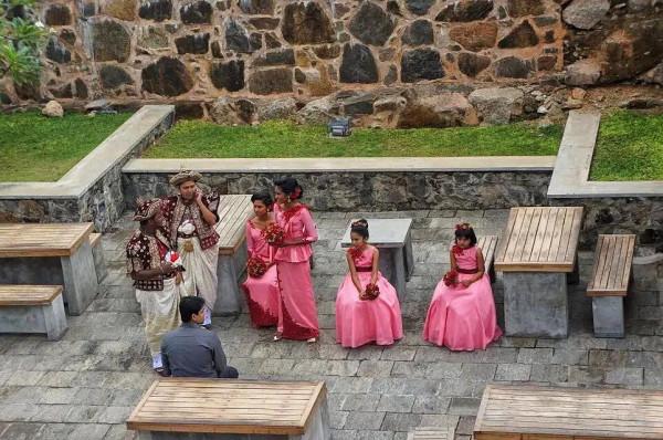 斯里蘭卡--回味無窮的青橄欖