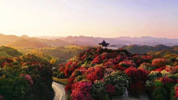 2021最熱門的景區，你去玩過嗎？