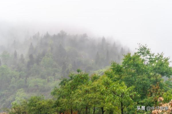 雙方交換人質,游擊隊計策實施成功 雙方交換人質,游擊隊計策實施成功