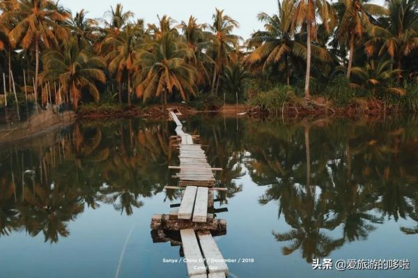 9分神片迴歸!中國人有多會吃海鮮?第一集就讓人邊流口水邊流淚 9分神片迴歸!中國人有多會吃海鮮?第一集就讓人邊流口水邊流淚
