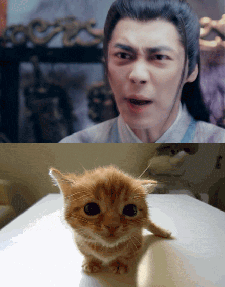 那些和動物撞臉的明星們 只有我們熱巴最可愛