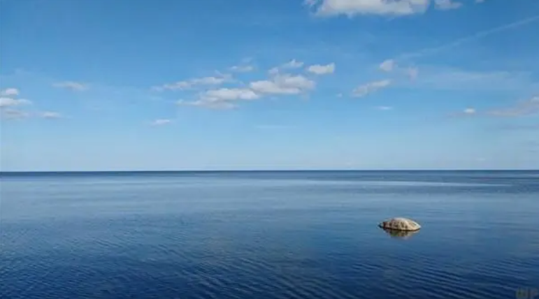 人過五十，不管你多有本事，都要主動&OpenCurlyDoubleQuote;下坡&rdquo;