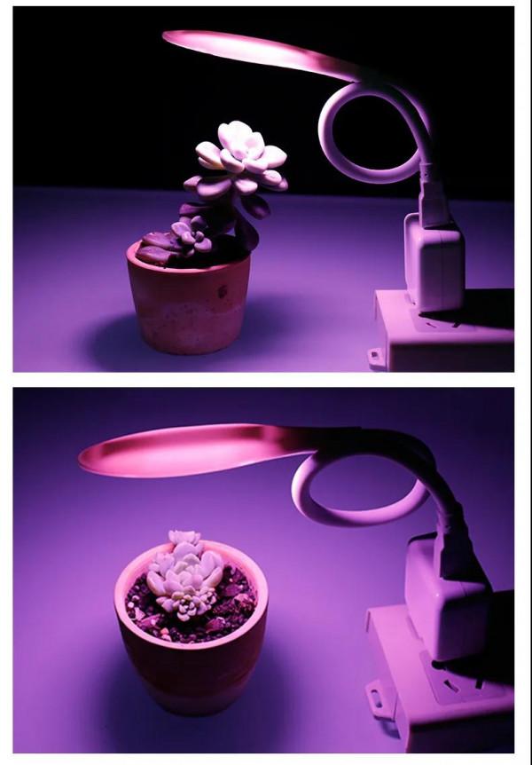 2021年中國植物照明產品出口情況分析