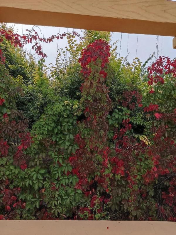 旅行莫忘帶上書