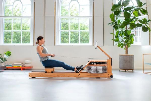 認識水阻划船機梣木(白蠟木)款,來自神話中的“木中女神” 認識水阻划船機梣木(白蠟木)款,來自神話中的“木中女神”