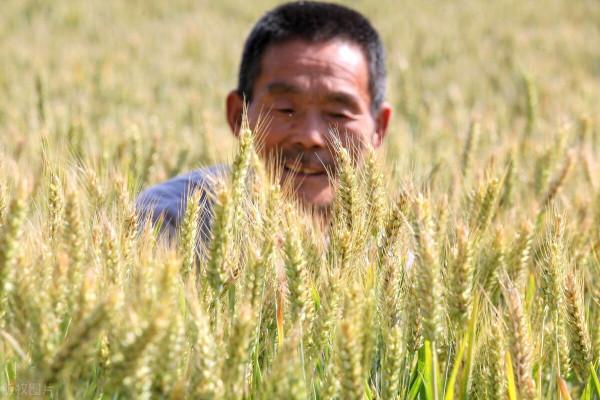 12種實用性強的農藥混用配方！可減少用藥量20&percnt;，預防效果可達99&percnt;