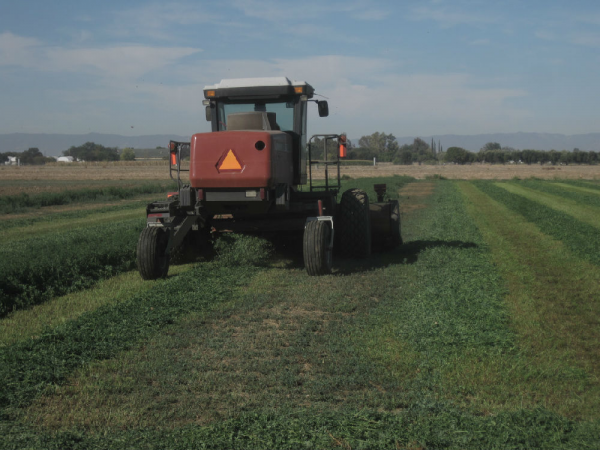 中國農業：小農戶還是大農場？