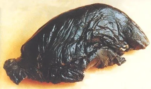 罌粟籽在國外這麼火,在國內是合法的調料嗎? 罌粟籽在國外這麼火,在國內是合法的調料嗎?