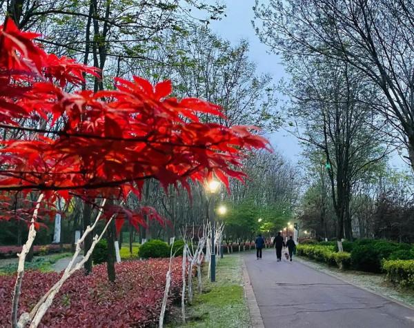 秋天的韻味 秋天的韻味