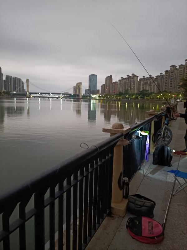 早起的鳥兒有蟲吃，晨釣提竿遛大魚&hellip;&hellip;