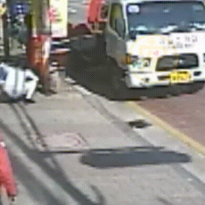 養了7年的狗被人抱走,1個月後與主人再次相遇,它竟忘記了主人 養了7年的狗被人抱走,1個月後與主人再次相遇,它竟忘記了主人