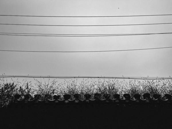 X70 Pro+對比iPhone13 Pro Max節目攝影精選