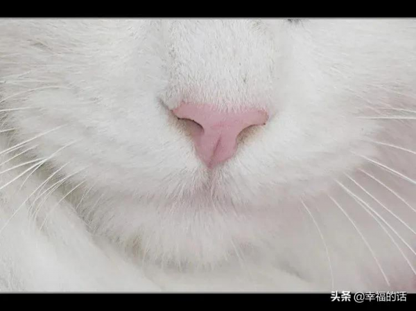 地球上的天堂美景