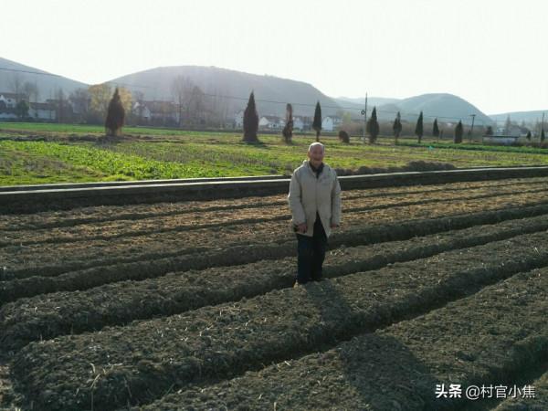 農村五保戶有哪些福利，分散供養和集中供養，選哪種更適合？