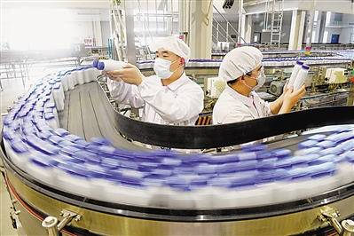 乘風破浪的“寧夏牛”