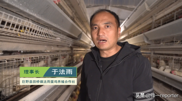 同樣養20萬隻蛋雞，他比別人多收入上百萬元，奧秘是啥？