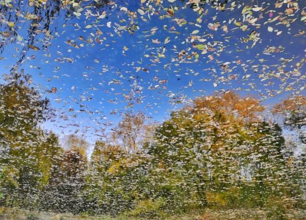 北大,永遠的熱愛! 北大,永遠的熱愛!