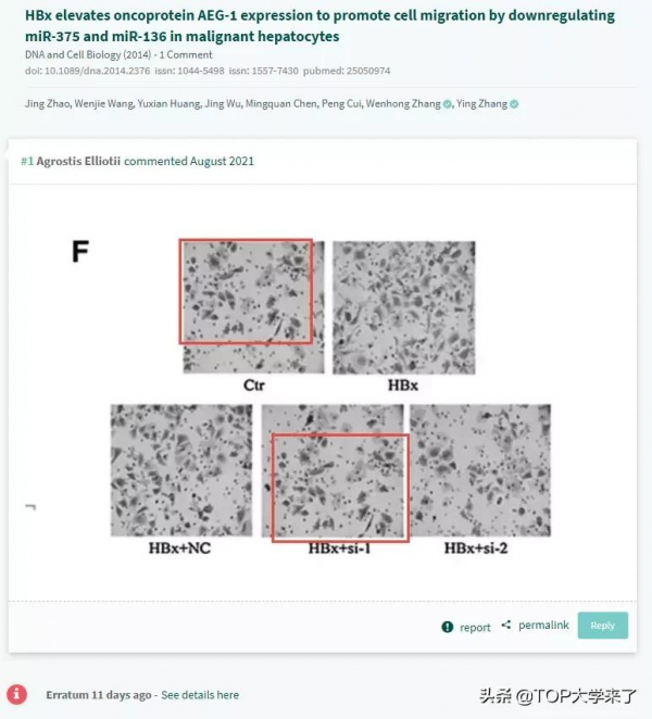 關注|復旦大學張文宏/張穎聯合通訊論文被撤稿 關注|復旦大學張文宏/張穎聯合通訊論文被撤稿