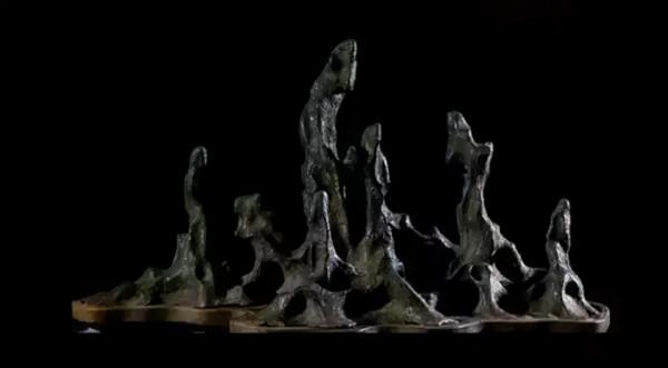 高價成交的66方奇石欣賞