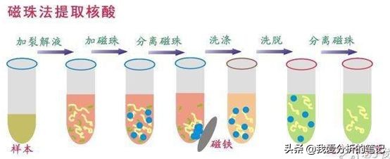 新版 GMP 細胞治療附錄釋出，利好哪家？