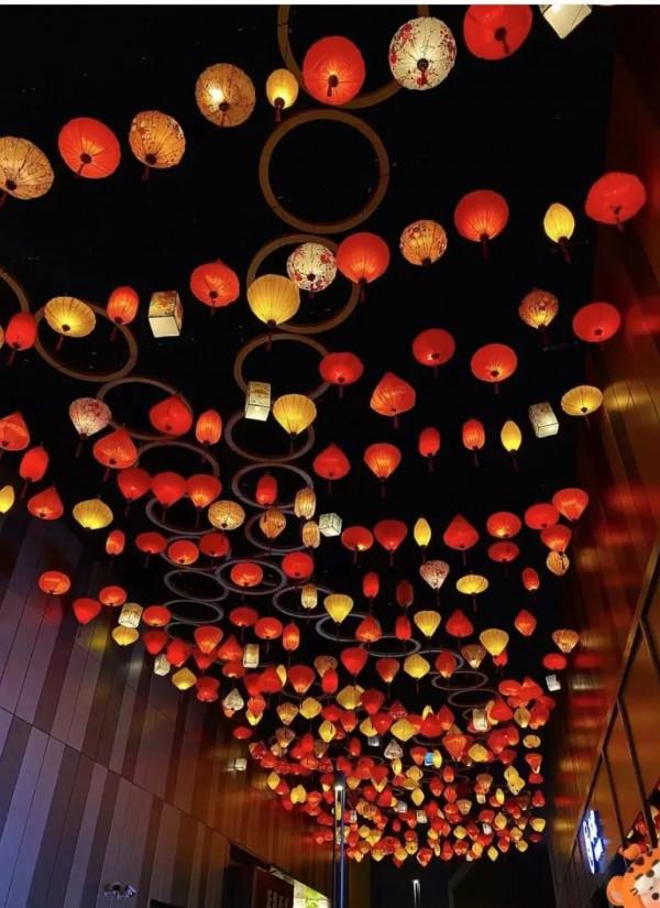 虎虎生威、龍騰虎躍,快來江北打卡萌虎 虎虎生威、龍騰虎躍,快來江北打卡萌虎