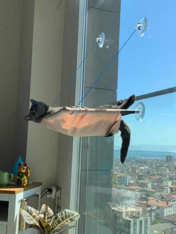 45張真實無PS照片,不看不知,用事實證明,動物們真的很可愛 45張真實無PS照片,不看不知,用事實證明,動物們真的很可愛