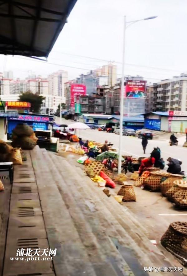 情人節當天，浦北金浦市場竟然有兩隻鴨子從籠子裡跑出來互訴衷腸