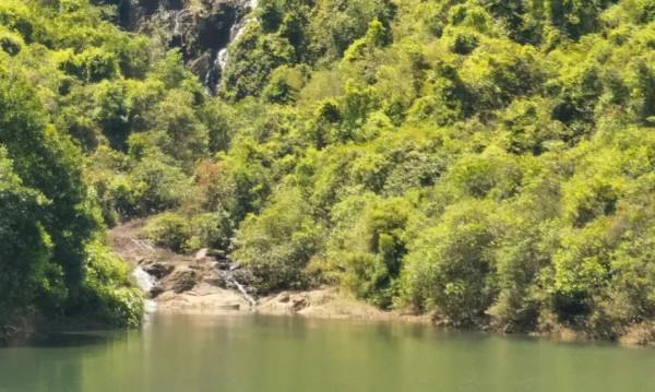 人間四月天，在坪山眼見皆美好