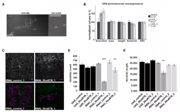每週期刊推薦-你該關注這本自然指數收錄的頂級期刊 每週期刊推薦-你該關注這本自然指數收錄的頂級期刊