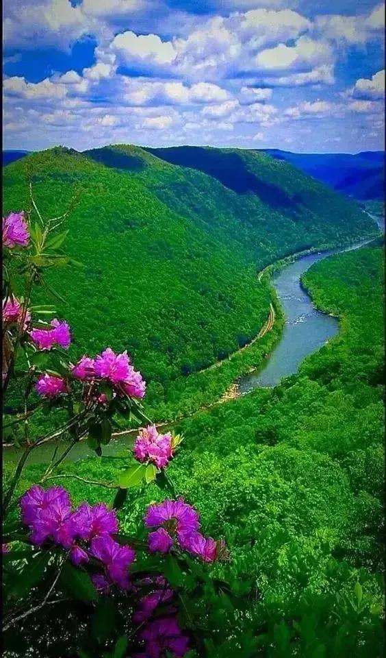 下輩子我就這麼活