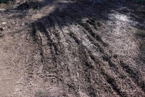 踏著深秋的落葉,去四明山來場自駕遊 踏著深秋的落葉,去四明山來場自駕遊