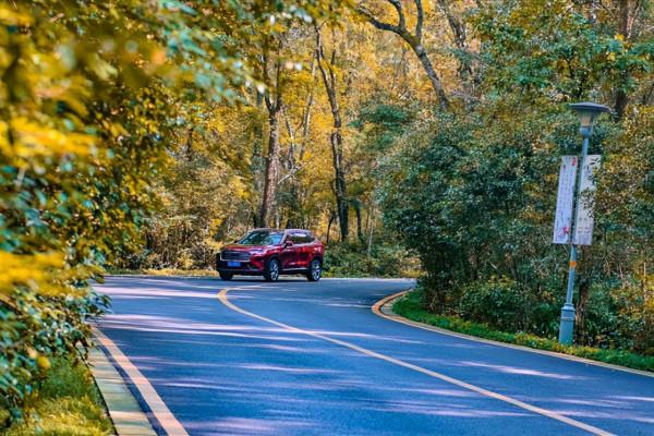 11月的南京,美齡宮就成了秋冬美景的天花板 11月的南京,美齡宮就成了秋冬美景的天花板