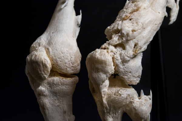 毀三觀！28張圖片告訴你：電影原來這樣拍，很多事情真奇葩