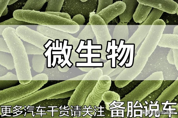 500元洗一次?4S店推薦的空調清洗有必要嗎? 500元洗一次?4S店推薦的空調清洗有必要嗎?