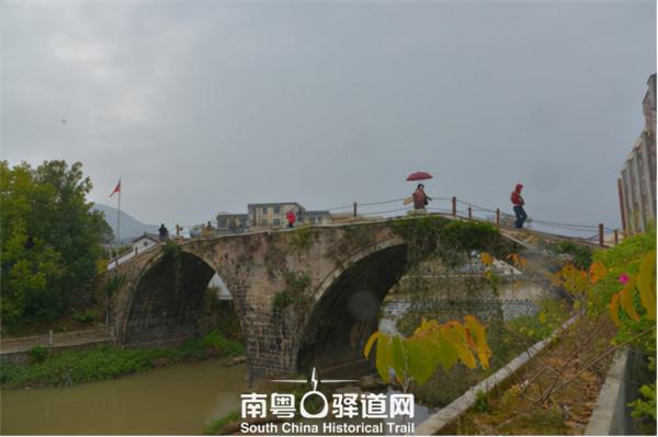 各界專家走進“紅色”仁居，集思廣益賦能鄉村振興