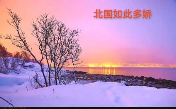 司馬南出生於東北，東北的雪景實在是美