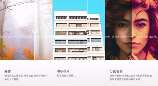 2021手機版PS+LR 已上線！融入超多黑科技（內含安裝包）