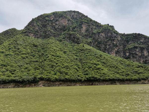 被水咬過的石頭 被水咬過的石頭